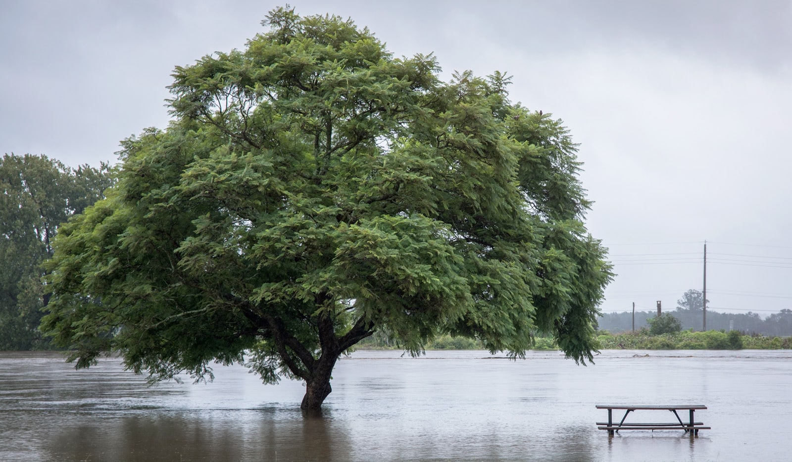 overstromingsschade in Vlaanderen (Belgïe)